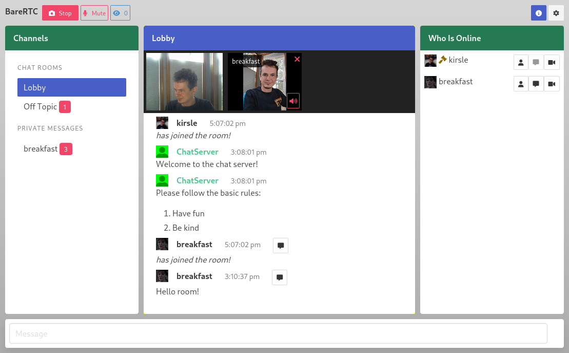 Screenshot of BareRTC, a free and open source webcam chat room
